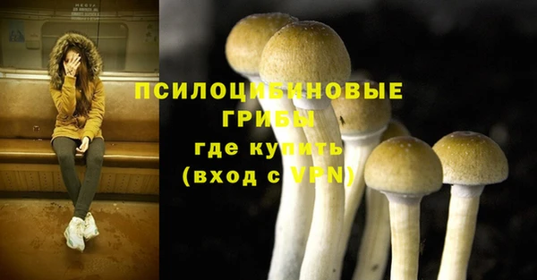 mdpv Алзамай